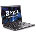 MSI EX310-008RU