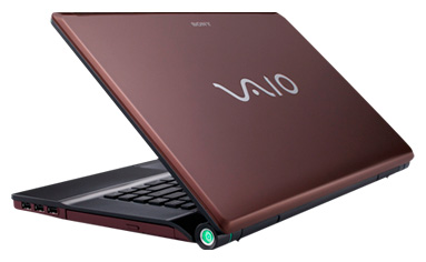 Sony VAIO VGN-FW490JFT 