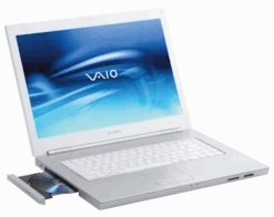 Sony VAIO VGN-N130G/W 