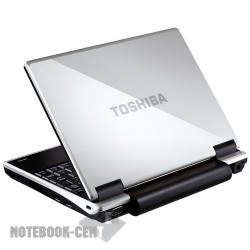 Toshiba NB100-10X