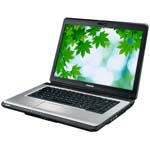 Toshiba Satellite  L300-1A3