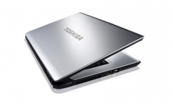 Toshiba Satellite L305D-S5974